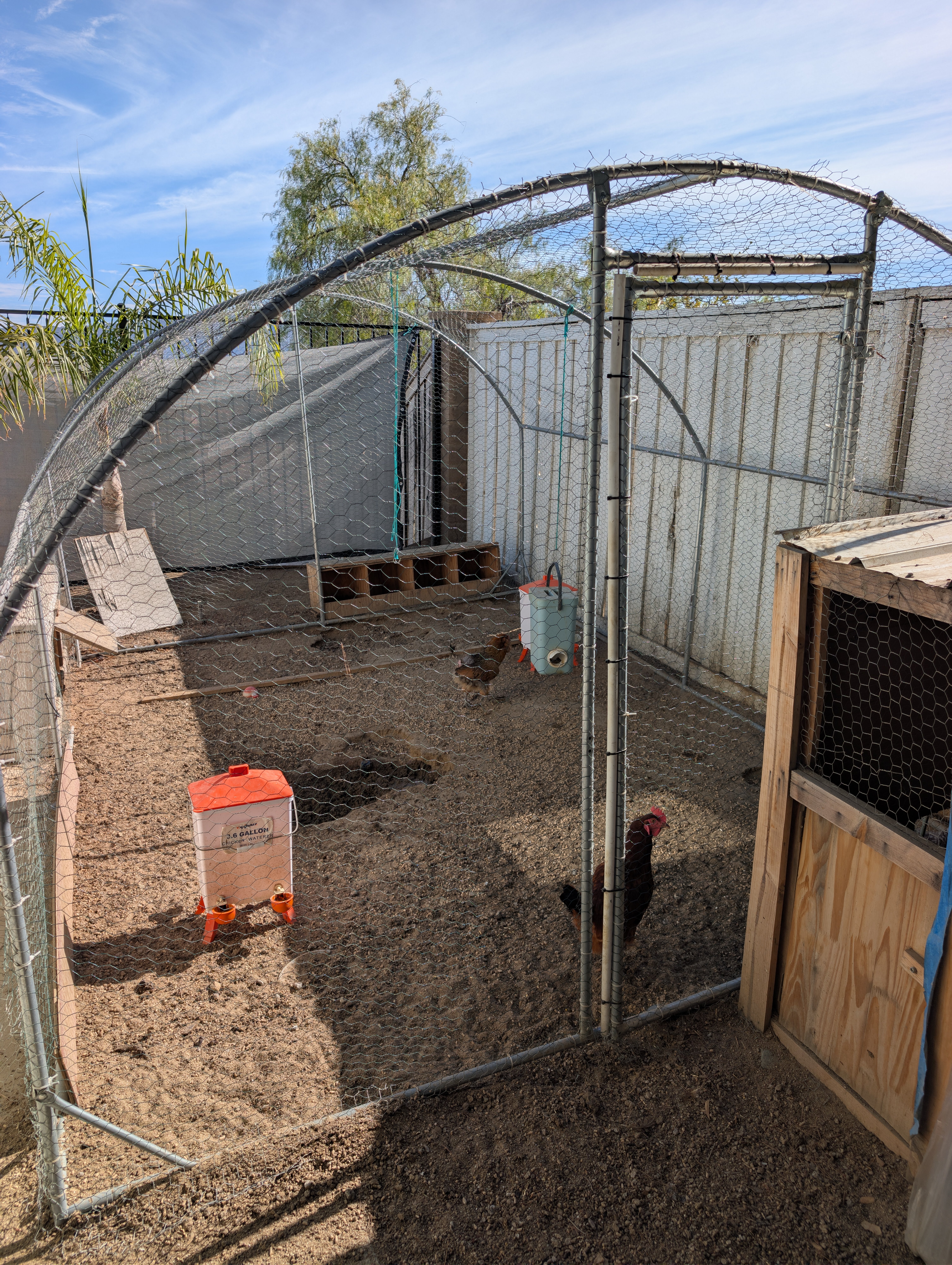 Chicken coop structure and run — Soleil Levant Care